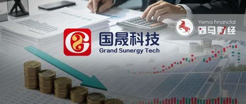 2天蒸發(fā)40億，國(guó)晟科技妖股神話破滅 鋰電故事不再講得通